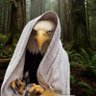 Фото профиля Curtis. 🇺🇸