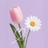 ๐๐๐๐๐๐๐๐*ใพใผใ's profile picture