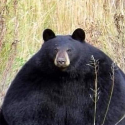 kalarth's profile picture