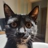 SkRiPsY profil fotoğrafı