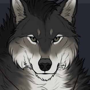 Seffuel Bloodmoon | Béta's profile picture