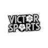 Фото профиля VictorSports