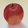 Profilbild von 🍎