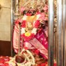 Фото профиля Surabhi Choudhary