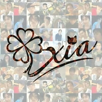 ᥊ⅈꪖ ^᪲᪲᪲'s profile picture