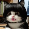 Profilbild von manちゃん★