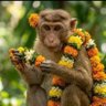 Radha thalivar Thalivar's profile picture