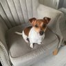 Lisa Amcogowen's profile picture