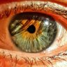 Marshall 🟦 profil fotoğrafı