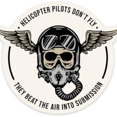 LancerFlying's profile picture