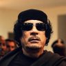 Amadu profil fotoğrafı