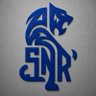 AB SNR🛡️🛡️ 的头像