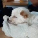 myungstwt's profile picture