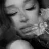 ⁂⁂ ꕤ's profile picture