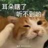 Like sweet.'s profile picture
