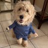 Фото профиля Joey
