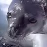 Фото профиля Egg Seal
