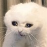 🇪🇬🇵🇸ندي's profile picture