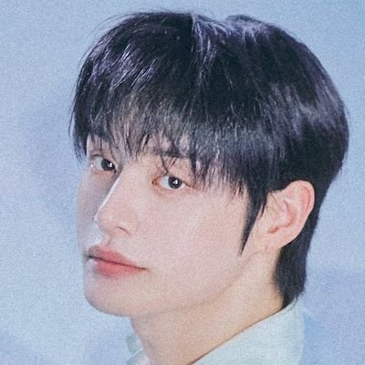 조타⚓️'s profile picture