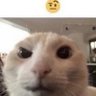 Profilbild von burger