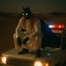 ضرغام| Wellness 的头像