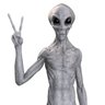 Alien 的头像