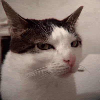 lane's profile picture