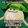 Profilbild von Return to Aranara