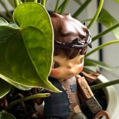 rio 🪲 bug oomf's profile picture