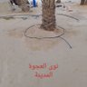 أبو بكر 的头像