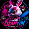 Фото профиля Ozam