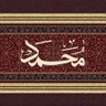 Muhammed's profile picture