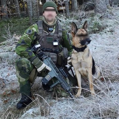 Rovdjuret's profile picture