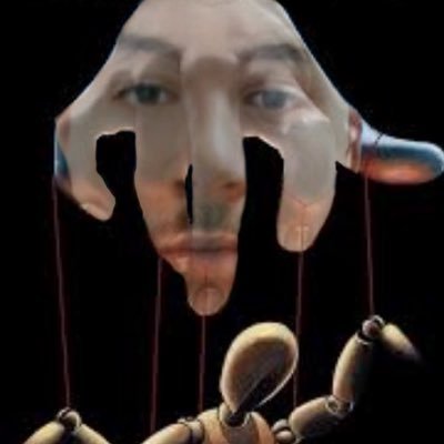 Calico's profile picture