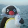 Profilbild von mirooz