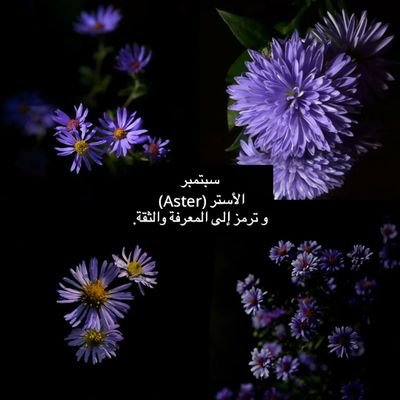 s19881's profile picture