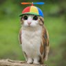 meowl real profil fotoğrafı