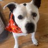 ET's profile picture