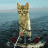 ElizabethC 的头像