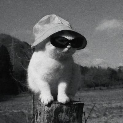 𝙴𝚕𝚖𝚌𝚊𝚛𝚕𝚜 𓃠's profile picture