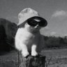 𝙴𝚕𝚖𝚌𝚊𝚛𝚕𝚜 𓃠 profil fotoğrafı