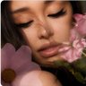 Ari Stan 💛 profil fotoğrafı