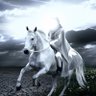 Фото профиля Ascension
