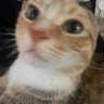 Profilbild von sofi_
