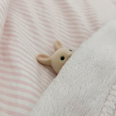 katieisafraid's profile picture