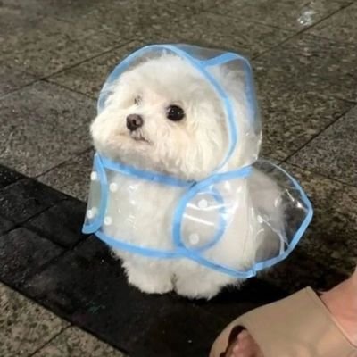 neptunzes's profile picture