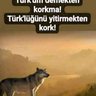 Hurşit M. Asarer 的头像