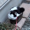 K profil fotoğrafı