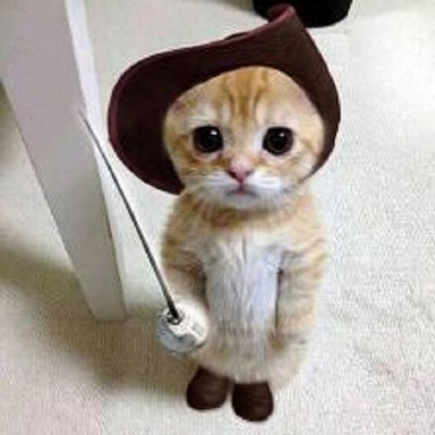 Brisucs's profile picture