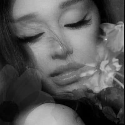 Ariana Hub ꕤ's profile picture